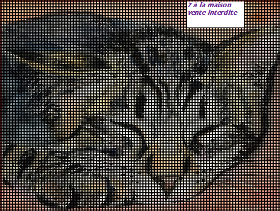 Grille gratuite chat