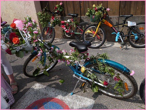 Vélos décorés (5)