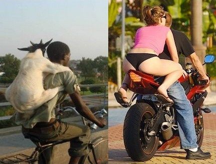 Résultat de recherche d'images pour "mardi humour"