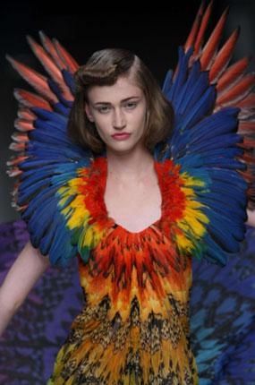 diapo_mcqueen20.jpg