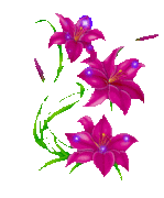 fleurs_thumb.gif