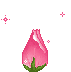 rosegif rosegif