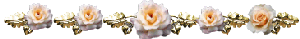 traifleur traifleur