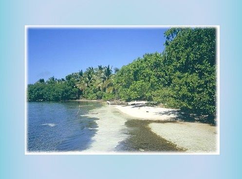 Résultats de recherche d'images pour « ile deserte froide »