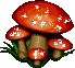 shrooms.gif