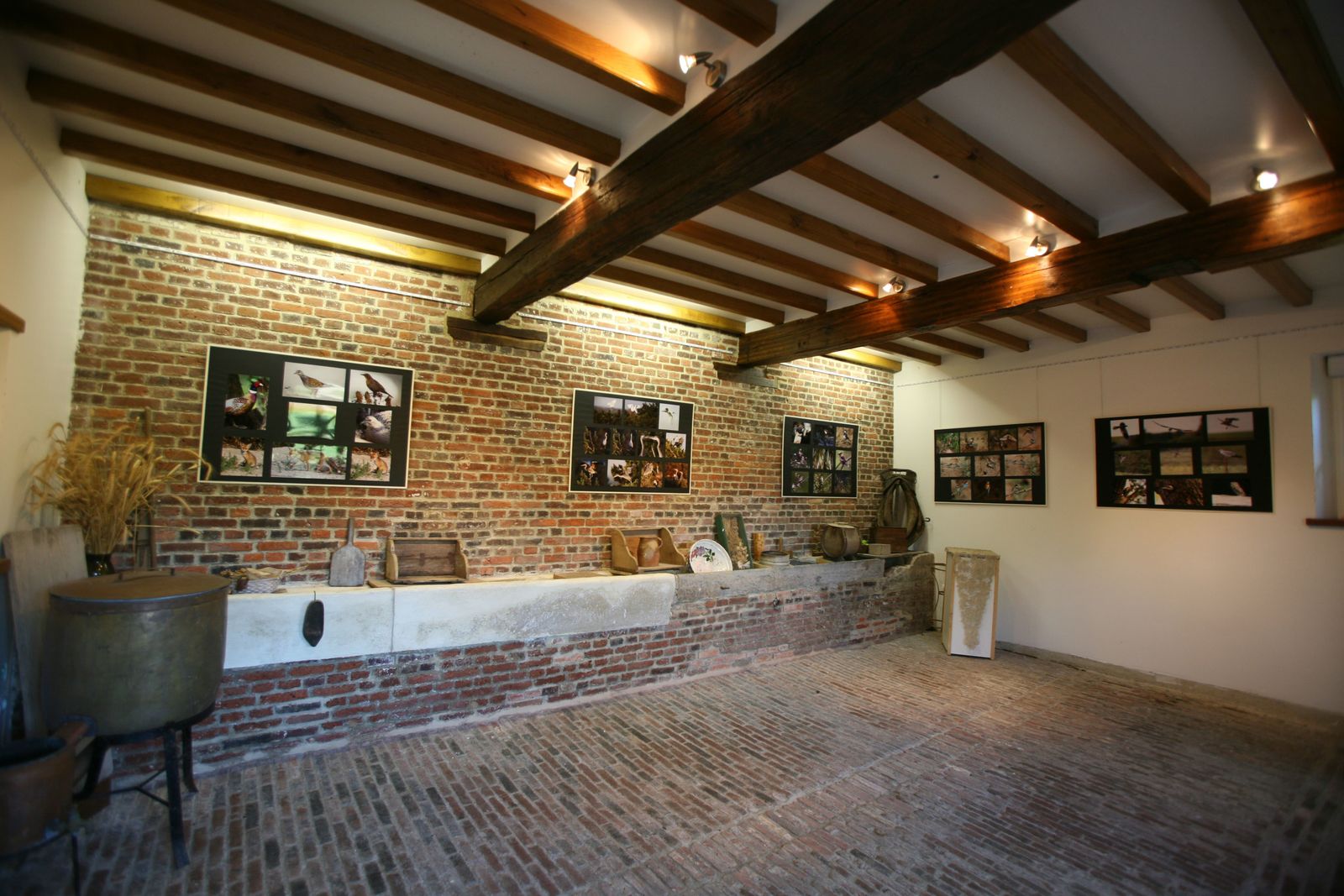 Exposition photo d'oiseaux de Picardie Thiérache Ardennes Benoit Henrion
