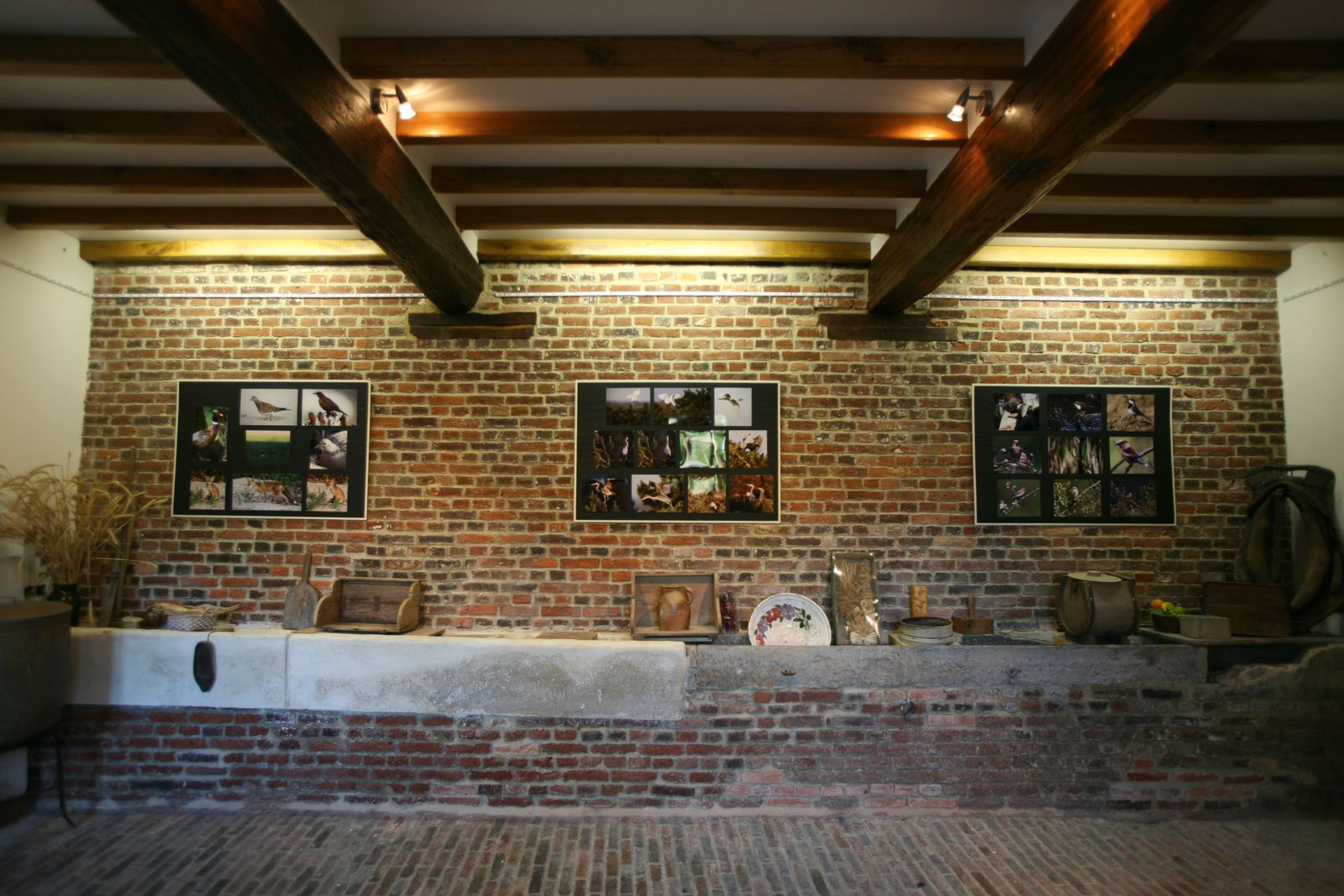 Exposition photo d'oiseaux de Picardie Thiérache Ardennes Benoit Henrion