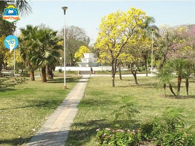imagenes