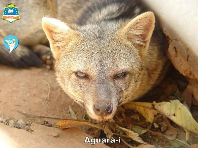 formosa