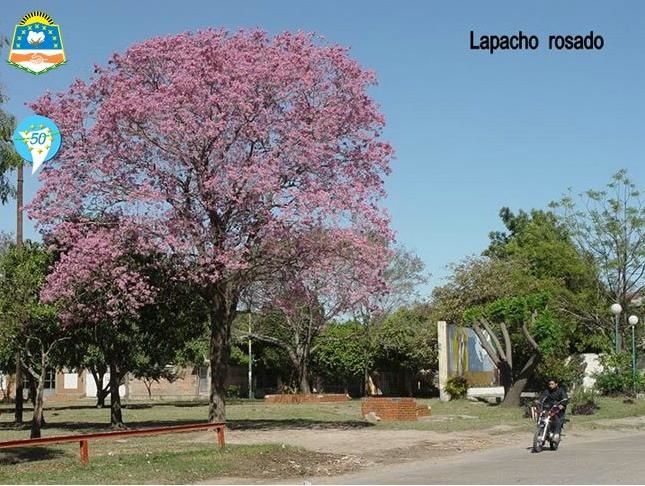 paisajes