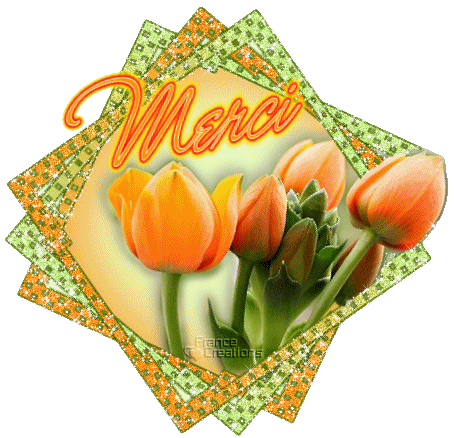 merci-tulipes-343108