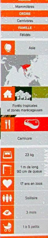 Beauval-3-9883.JPG