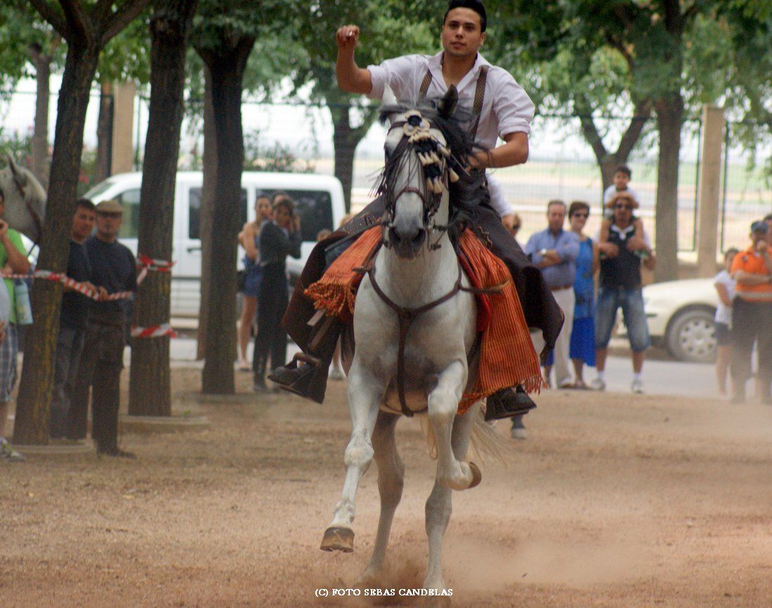 carrera de cintas