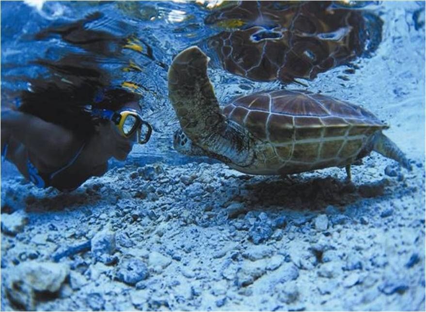 bora bora rencontre