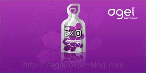 exoB.jpg