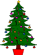 noel 047