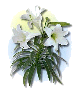 fleur101