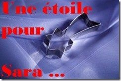 uneetoilepoursara_thumb