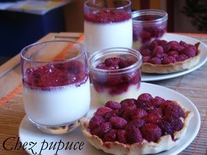 variation_framboise