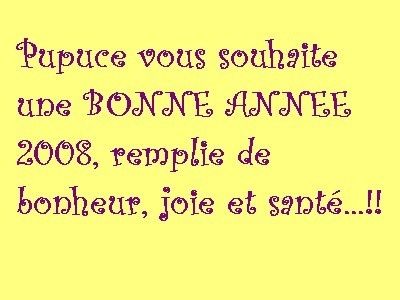 bonne_ann_e_pupuce