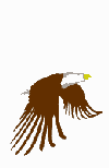 Oiseau-Aigle-2.gif