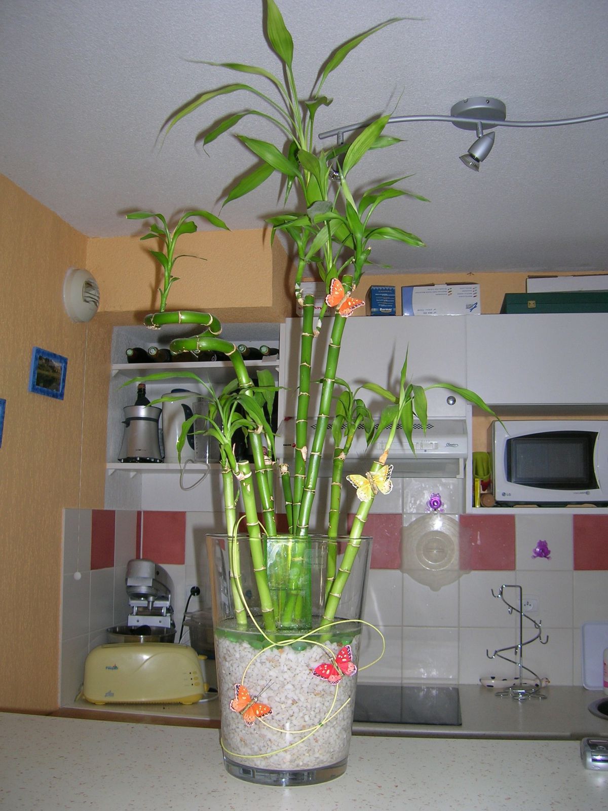 Vase bambou - Choupy créations