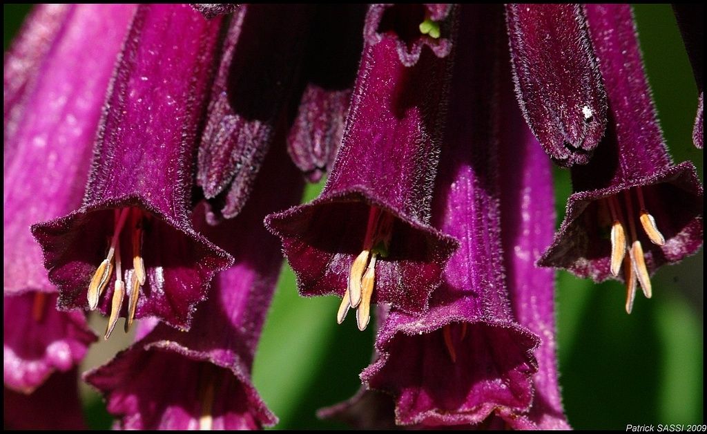 1051