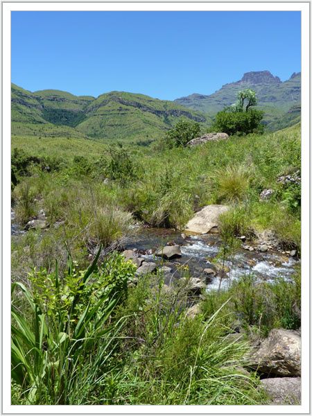 drakensberg