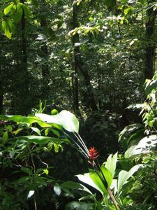 01_grand_riviere_anse_couleuvre