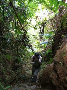 06_piton_boucher_morne_piquet