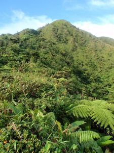06_piton_boucher_morne_piquet