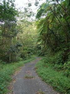 06_piton_boucher_morne_piquet