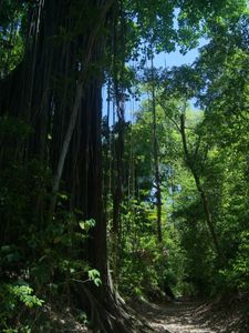 09_pointe_tenos