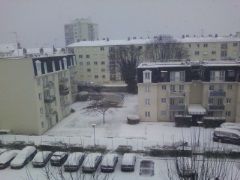 Photo0250