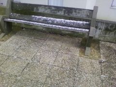 Photo0274