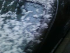 Photo0275