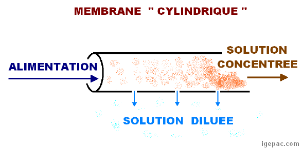 membrane-fil.PNG
