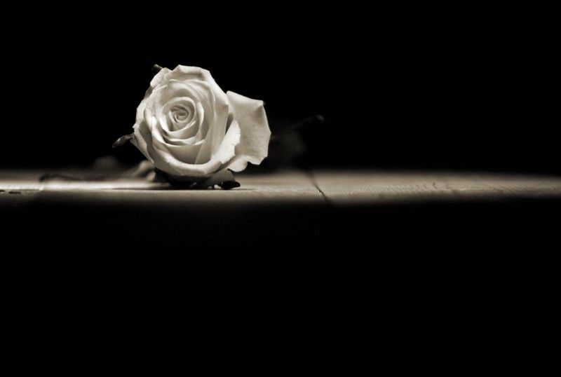 Fleur une