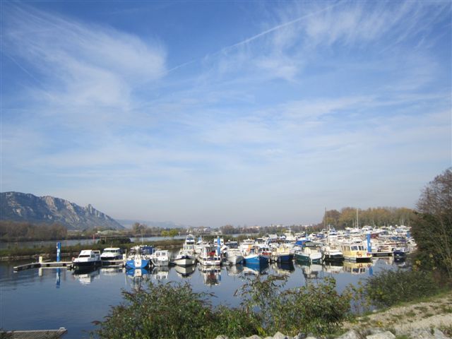 2011-10-octobre 2884-valence-eperviere
