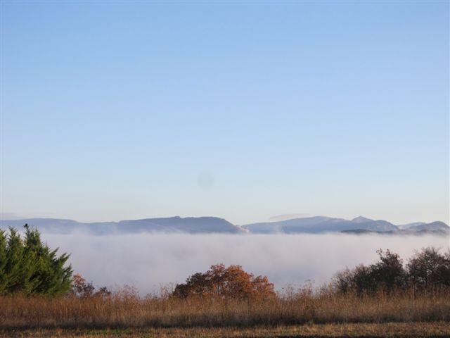 2011-11-novembre 3334-brouillard