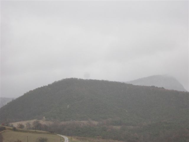 2011-11-novembre-3724-gardettes.JPG