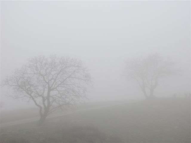 2012-01 3755-brouillard