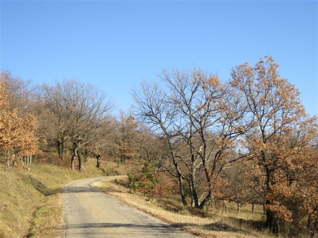 2012-01 3967-truinas-route