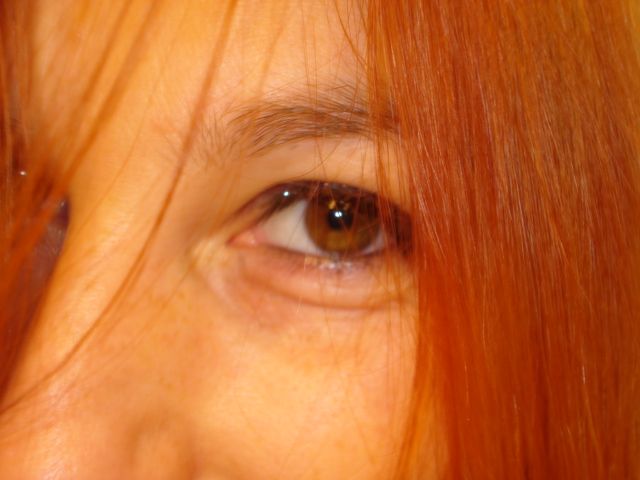 025.JPG