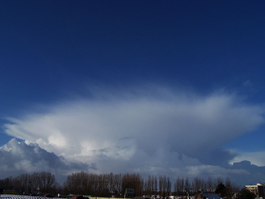 METEO_20100130_105055.jpg
