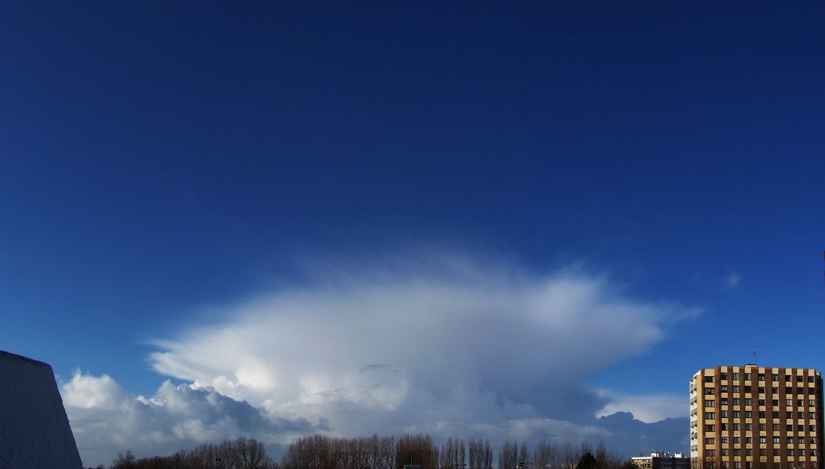 METEO_20100130_105116a.jpg