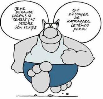 Chat courant (Geluck)