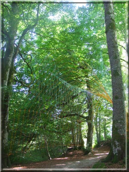 rencontres art nature sancy