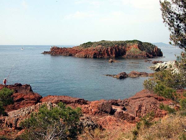 Panorama_Lions.jpg