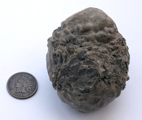 Oregon-thunderegg500.jpg